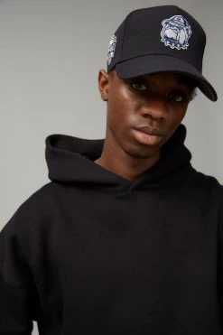 Lcn A Frame Georgetown Dog Badge